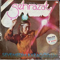 ŞEHRAZAT - SEVEMEDİM KARAGÖZLÜM PLAK