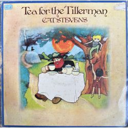 CAT STEVENS - TEA FOR THE TILLERMAN PLAK