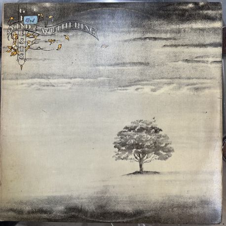 GENESIS - WIND AND WUTHERING PLAK