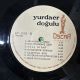 YURDAER DOĞULU - AĞLA GİTAR PLAK
