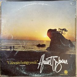AHMET ÖZHAN - GÜNEŞİN BATTIĞI YERDE PLAK