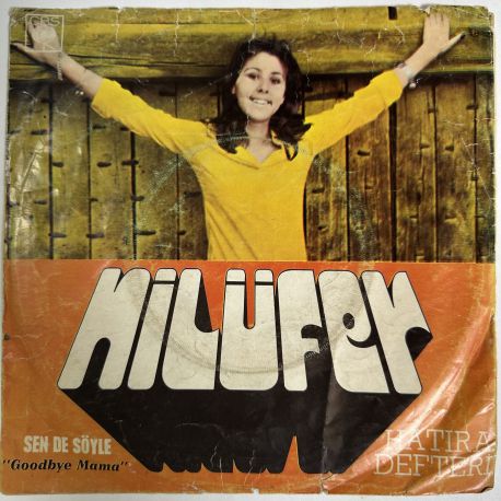 NİLÜFER - SEN DE SÖYLE / HATIRA DEFTERİ 45'LİK PLAK
