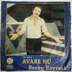 RECEP KAYMAK, SAADET SUN - AVARE HU / DILJA PIARKA REGA 45'LİK PLAK
