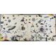 LED ZEPPELIN III (3) PLAK