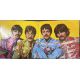 THE BEATLES - SGT. PEPPER'S LONELY HEARTS CLUB BAND PLAK