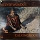 STEVIE WONDER - TALKING BOOK PLAK