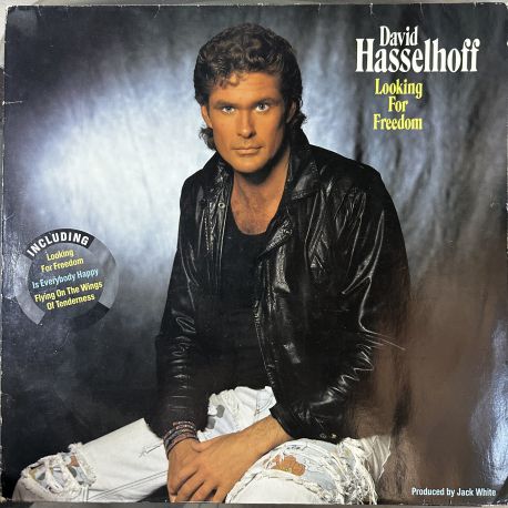 DAVID HASSELHOFF - LOOKING FOR FREEDOM PLAK