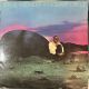 STEVIE WONDER - IN SQUARE CIRCLE PLAK