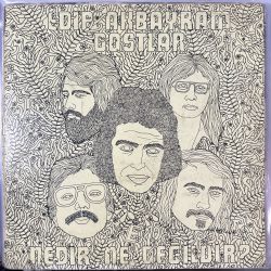 EDİP AKBAYRAM, DOSTLAR - NEDİR NE DEĞİLDİR? PLAK