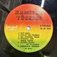 HAMİYET YÜCESES 1975 LP2 PLAK
