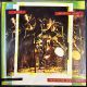 ORIENTAL WIND, OKAY TEMİZ - ZİKİR PLAK