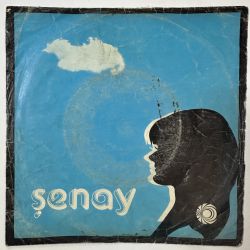 ŞENAY - SESSİZ BİR YER / DÜNDEN BUGÜNE 45'LİK PLAK