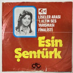 ESİN ŞENTÜRK - ANDİÇELİM / BABACIĞIM 45'LİK PLAK