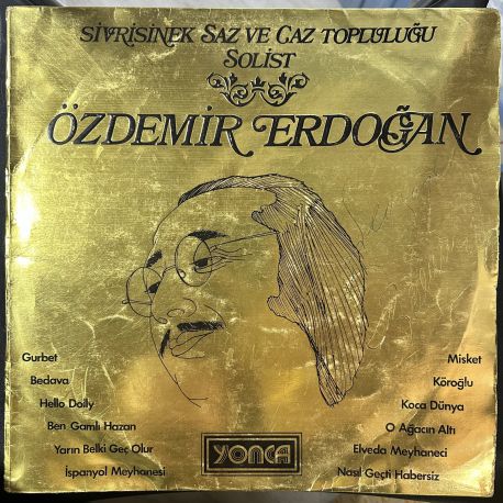 ÖZDEMİR ERDOĞAN, SİVRİSİNEK SAZ VE CAZ TOPLULUĞU PLAK