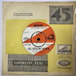 BERKANT - GEL GÜZELİM YAVRUM / DOĞUM GÜNÜN KUTLU OLSUN 45'LİK PLAK