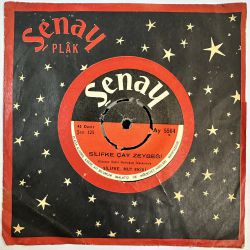 SİLİFKE MUT EKİBİ - SİLİFKE ÇAY ZEYBEĞİ / KEKLİK 45'LİK PLAK