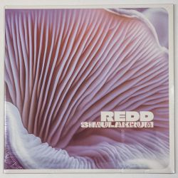 REDD - SİMULAKRUM PLAK