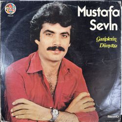 MUSTAFA SEVİN - GARİPLERİN DÜNYASI PLAK