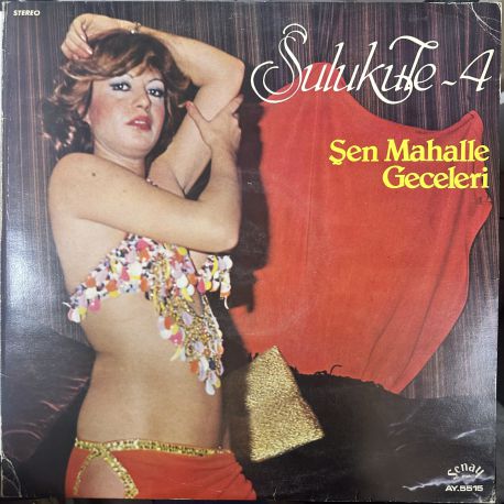 SULUKULE 4 ŞEN MAHALLE GECELERİ PLAK