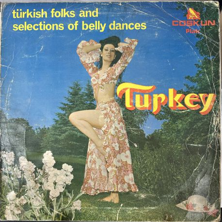 TURKISH FOLKS AND SELECTIONS OF BELLY DANCES TURKEY PLAK