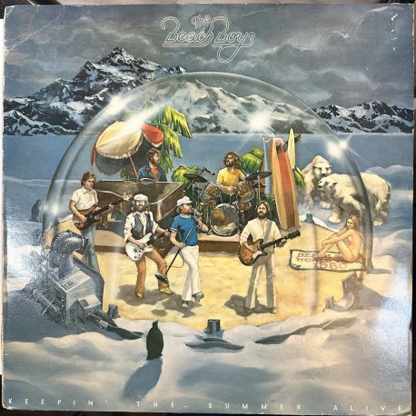THE BEACH BOYS - KEEPIN' THE SUMMER ALIVE PLAK