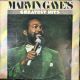 MARVIN GAYE'S GREATEST HITS PLAK