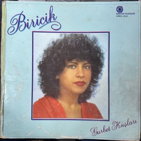 BİRİCİK - GURBET KUŞLARI PLAK