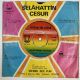 SELAHATTİN CESUR - GARİPTEN DE GARİBİM / EFKARLIYIM ARKADAŞ 45'LİK PLAK