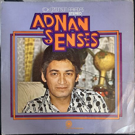 ADNAN ŞENSES - ÇOK ÜZGÜNSÜN ARKADAŞ PLAK