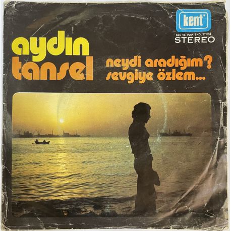 AYDIN TANSEL - SEVGİYE ÖZLEM / NEYDİ ARADIĞIM 45'LİK PLAK